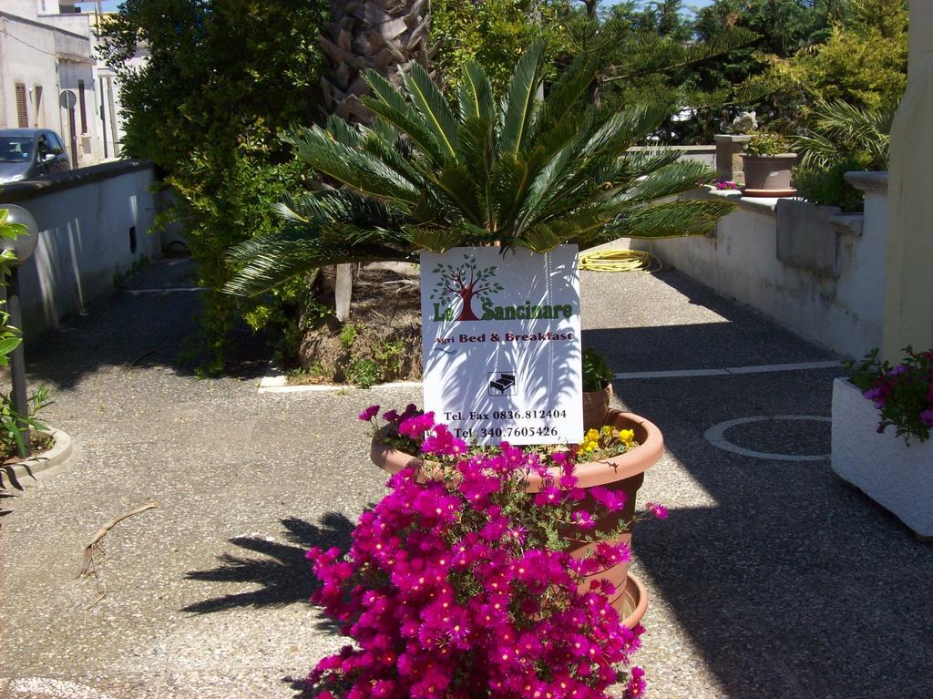 Otranto Le Sancinare Bed & Breakfast Casamassella ภายนอก รูปภาพ