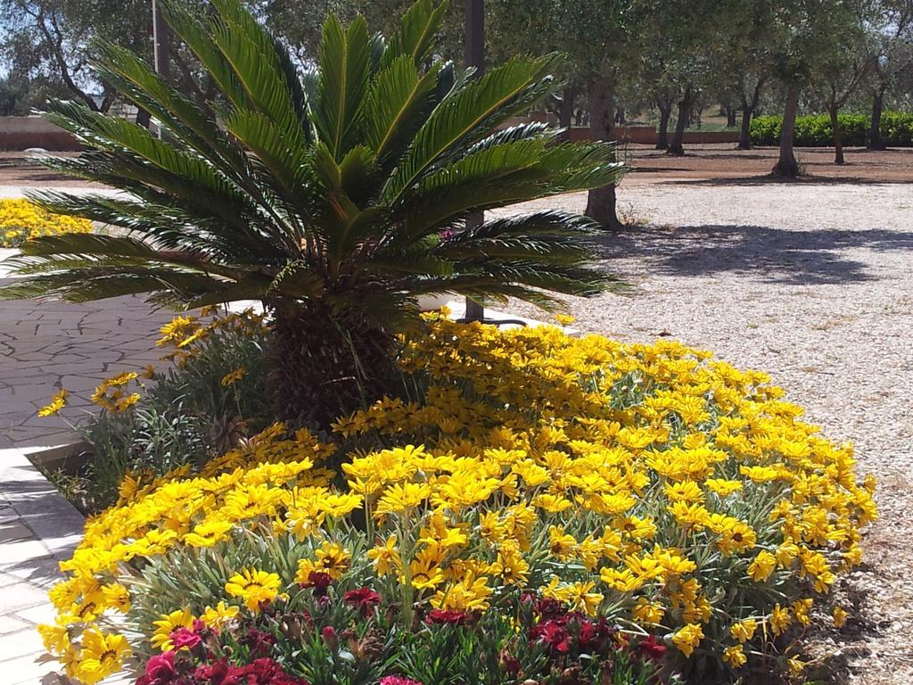 Otranto Le Sancinare Bed & Breakfast Casamassella ภายนอก รูปภาพ